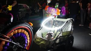 WhatsApp Image 2025-11-03 at 11.01.52 AM (3)