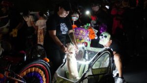 WhatsApp Image 2025-11-03 at 11.01.53 AM (2)