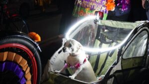 WhatsApp Image 2025-11-03 at 11.01.54 AM (7)