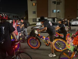 WhatsApp Image 2025-11-03 at 11.02.02 AM (1)