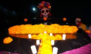 WhatsApp Image 2025-11-04 at 2.19.55 PM (19)