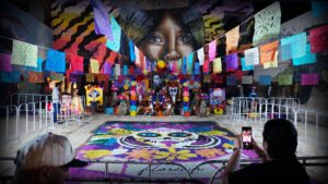 WhatsApp Image 2025-11-04 at 2.19.55 PM (6)