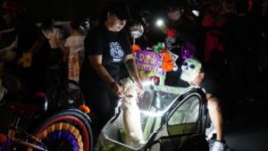 WhatsApp Image 2025-11-04 at 8.59.09 AM (4)