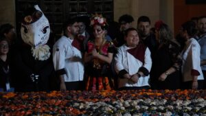 WhatsApp Image 2025-11-04 at 8.59.13 AM