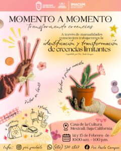 WhatsApp Image 2026-01-16 at 11.00.19 AM (1)